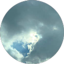 Profile photo of Definitely Notme