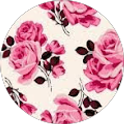 Profile photo of Bailey Mercer