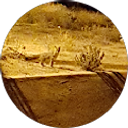 Profile photo of Steven Thetford