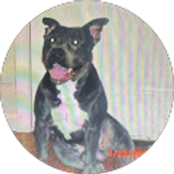 Profile photo of Doug Bramer