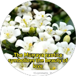 Profile photo of Esther Parrish-Grady