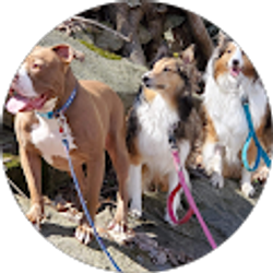 Profile photo of John Blake