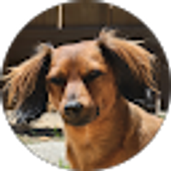 Profile photo of Jenn Jones