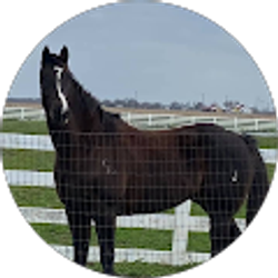 Profile photo of Jacki Scott