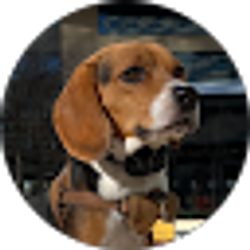 Profile photo of Juan Vasquez