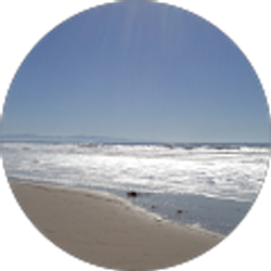 Profile photo of Adam Rowings