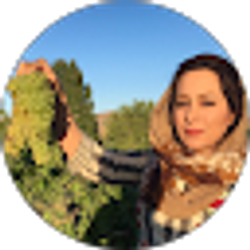 Profile photo of elham loni