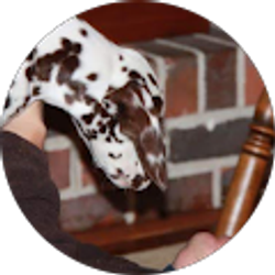 Profile photo of Dirk Swanson