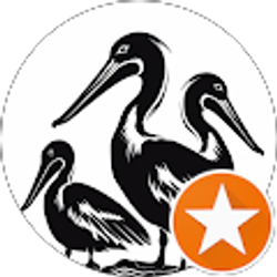 Profile photo of Carol cruz