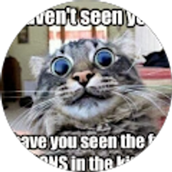 Profile photo of jennifer bushong