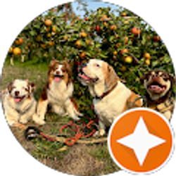 Profile photo of Anica Enriquez