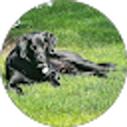 Profile photo of Brian B