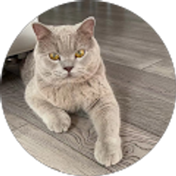 Profile photo of Roxie Z