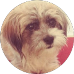 Profile photo of Manuel Mantilla