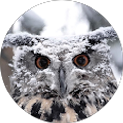 Profile photo of Michael Rose