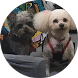 Profile photo of Barbara Weeks