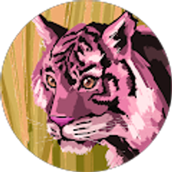 Profile photo of Meybi Sanchez Moreno