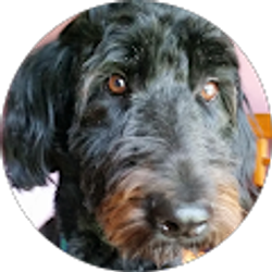 Profile photo of Carol Hammon