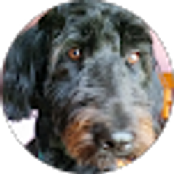 Profile photo of Carol Hammon