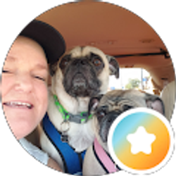 Profile photo of carol stephens