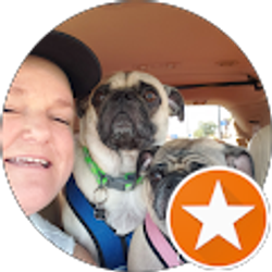 Profile photo of carol stephens