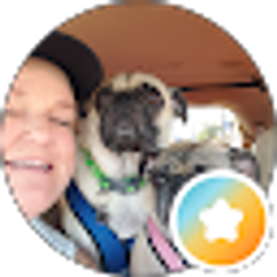 Profile photo of carol stephens