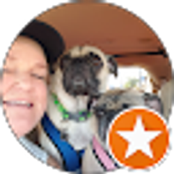 Profile photo of carol stephens