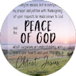 Profile photo of Sena Whipple