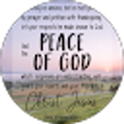 Profile photo of Sena Whipple