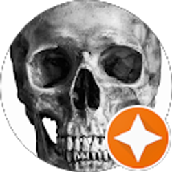 Profile photo of Vans