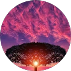 Profile photo of Merit