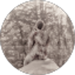 Profile photo of Sh.