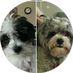 Profile photo of Suzanne Madsen