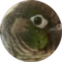 Profile photo of Rex Nelson