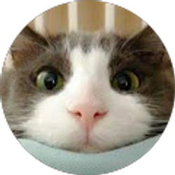 Profile photo of romesixdub