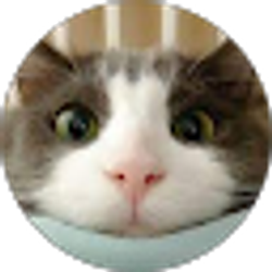 Profile photo of romesixdub