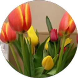 Profile photo of Jenny Gonzalez