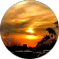 Profile photo of Jessica Rodriguez