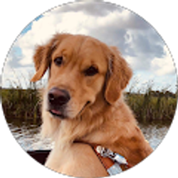 Profile photo of Bryan Gearry