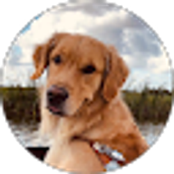 Profile photo of Bryan Gearry