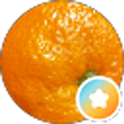 Profile photo of R a m