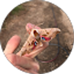 Profile photo of Taylor Simpson