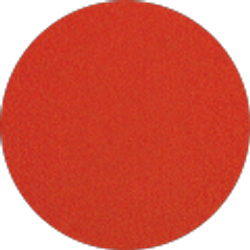 Profile photo of NaToshia Robinson