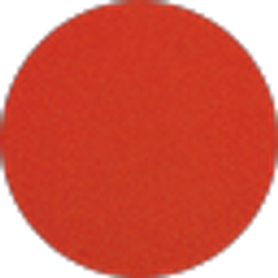 Profile photo of NaToshia Robinson