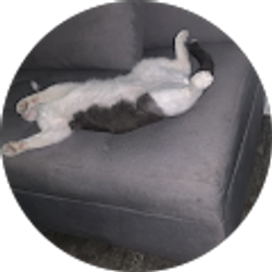 Profile photo of Jonathan Micho obledo