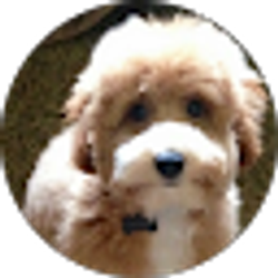 Profile photo of Janice Troutman