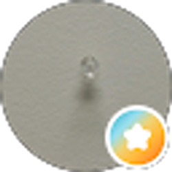Profile photo of D. Cash