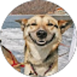 Profile photo of Reed Parker