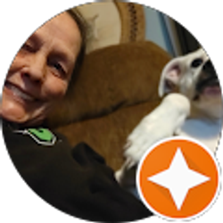 Profile photo of Bobbi Sheaks