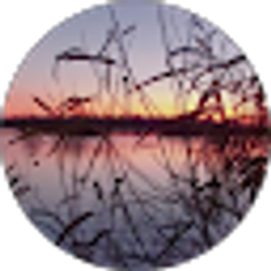 Profile photo of Jason Tullos